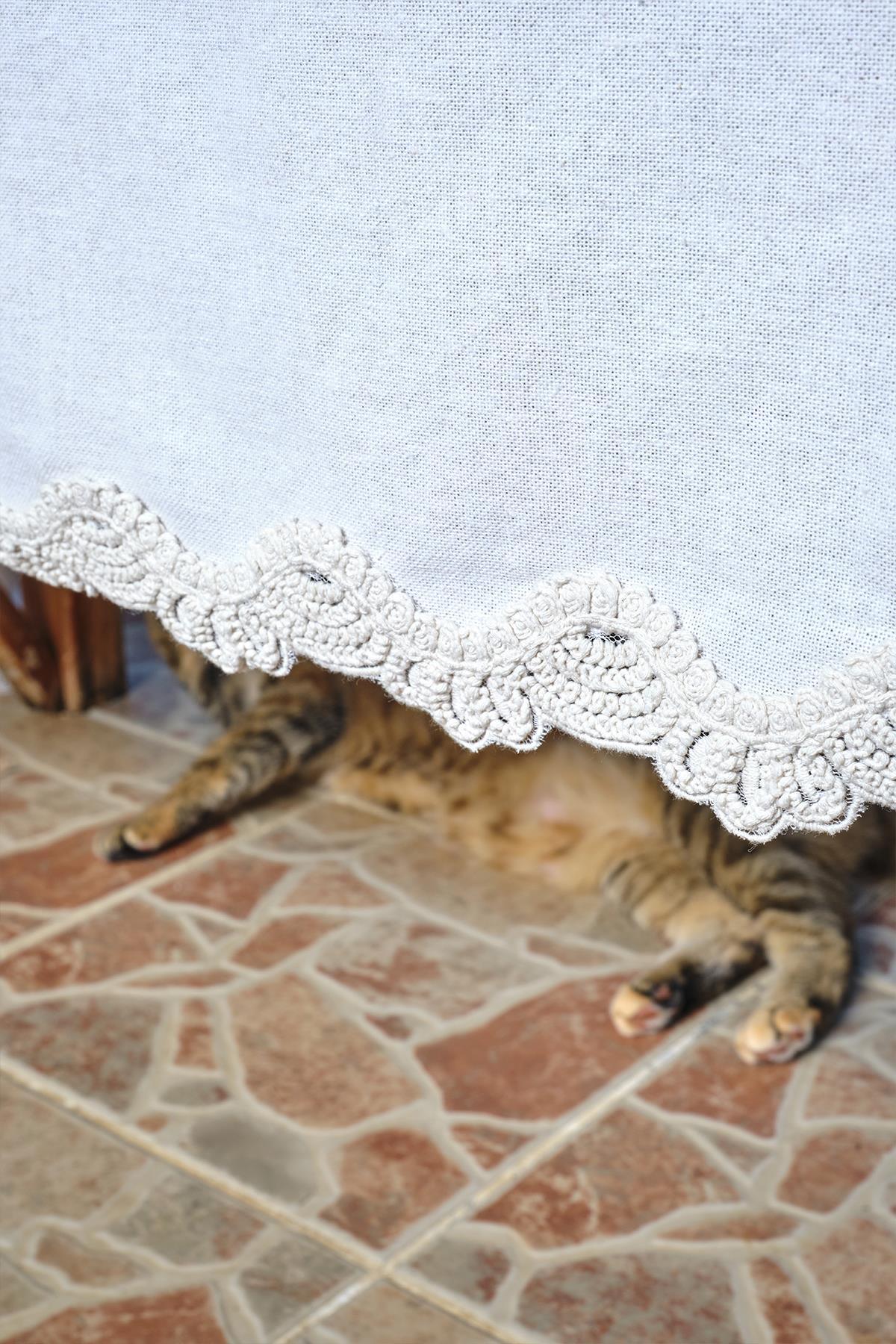 Weiße Tischdecke mit Spitzenbordüre, Katzenpfoten auf einem Steinboden zu sehen